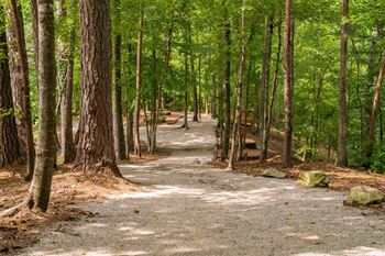 Private trail on little cahaba river